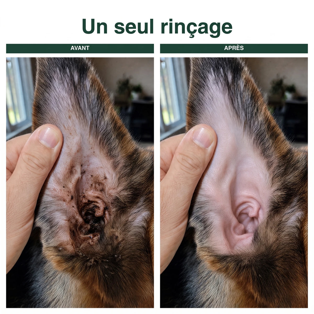 Un seul rinçage : avant et après