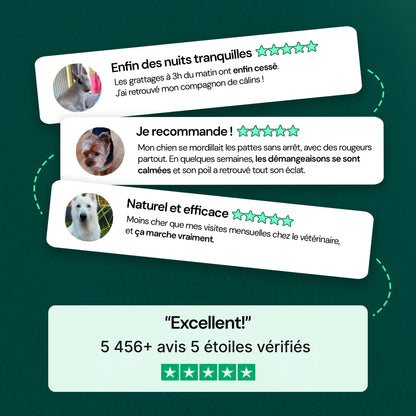 Avis clients 5 étoiles vérifiés