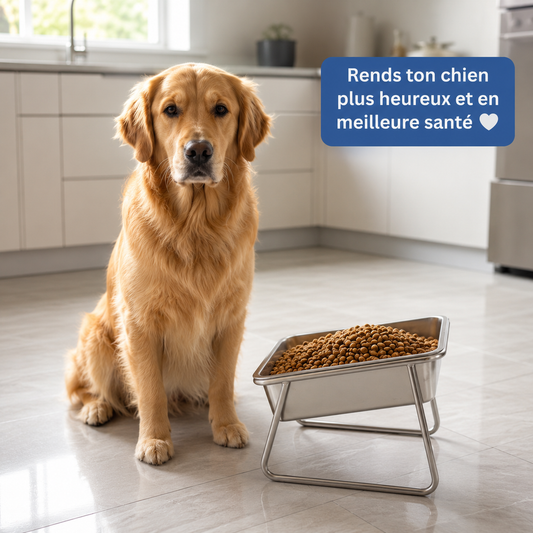 Gamelle Orthopédique grands chiens Velvionna