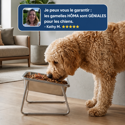Grand chien qui mange à hauteur