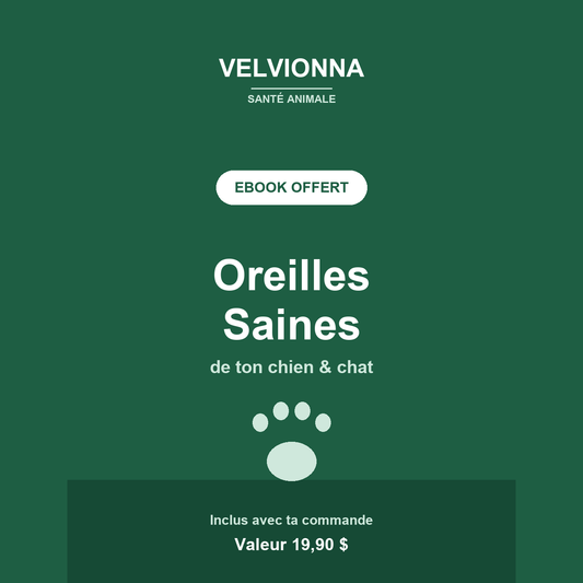 Velvionna™ — Guide Oreilles Saines (offert)