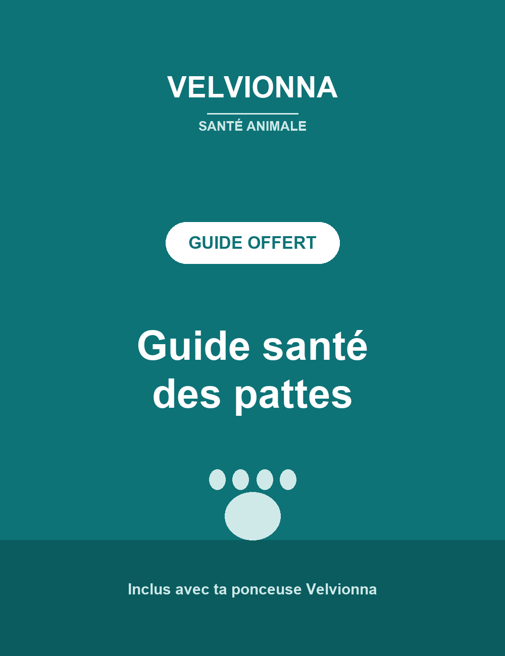 Guide santé des pattes Velvionna