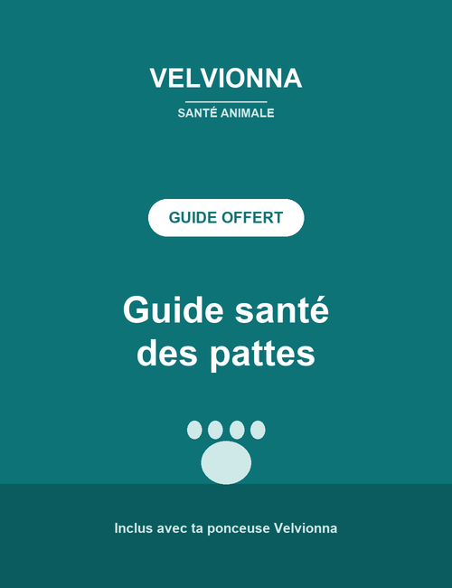 Guide santé des pattes Velvionna