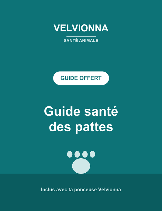 Guide santé des pattes Velvionna