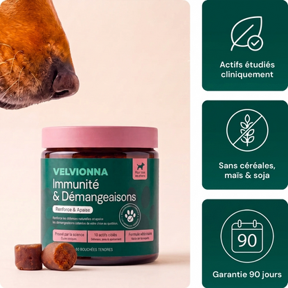 Velvionna Immunité & Démangeaisons pour chien