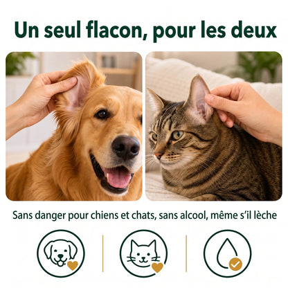 Un seul flacon pour le chien et le chat