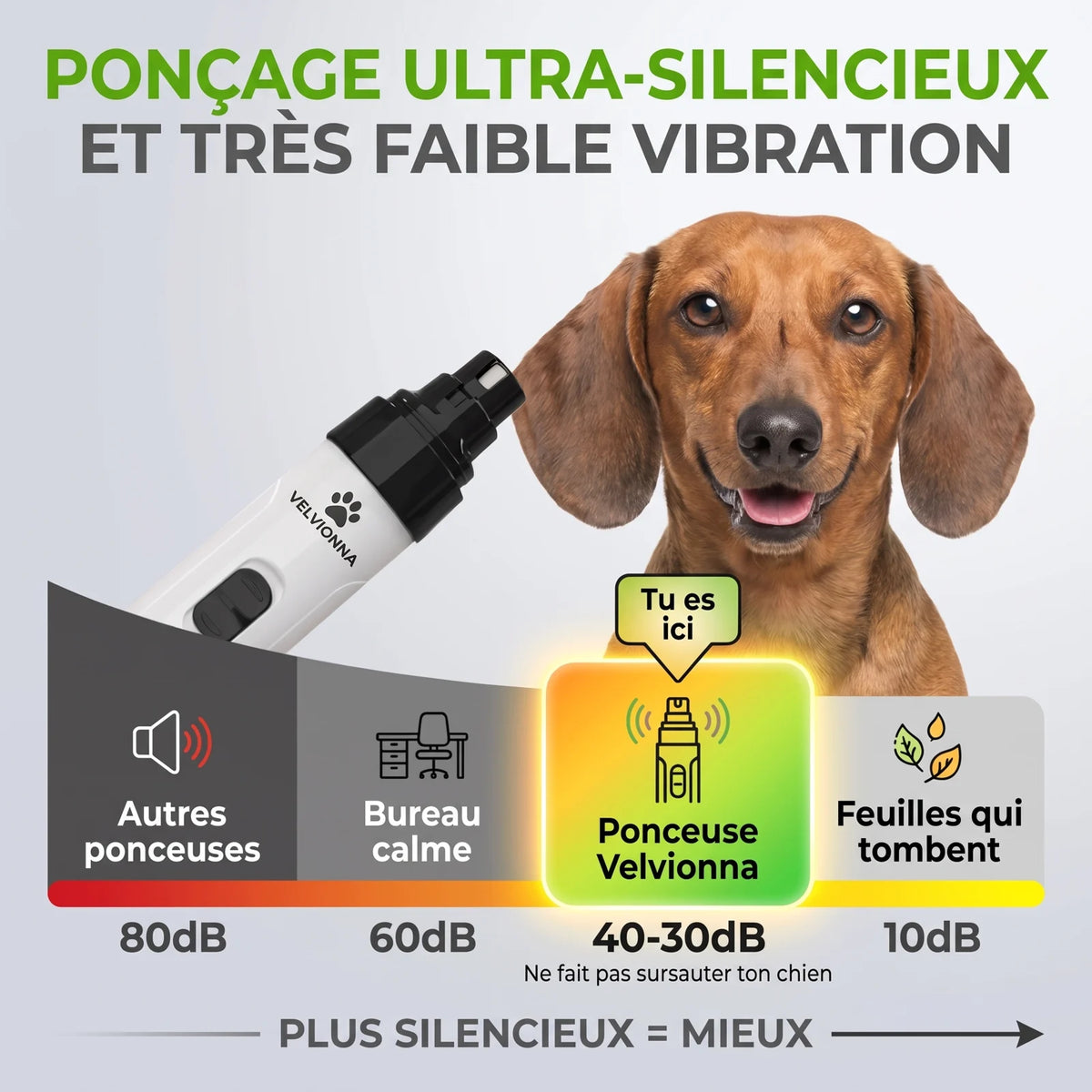 Velvionna ponceuse à griffes silencieuse