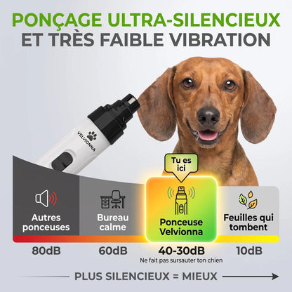 Velvionna ponceuse à griffes silencieuse